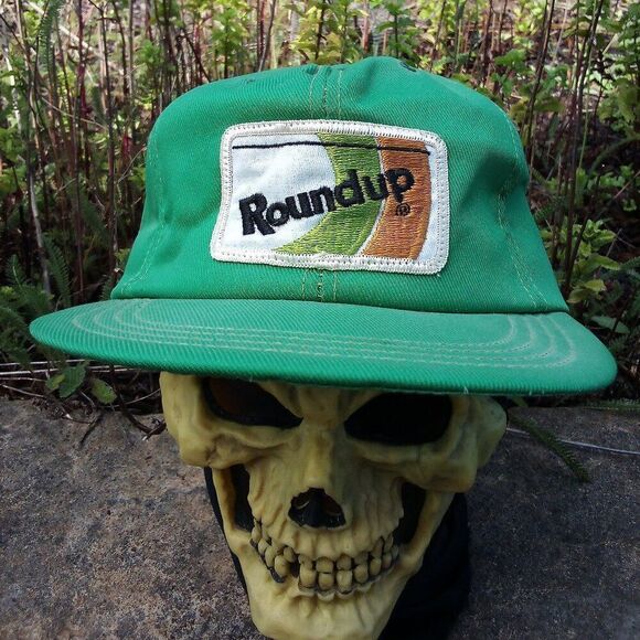 Deadstock Vintage Roundup Patch Snap Back Trucker Hat Cap - Picture 1 of 7